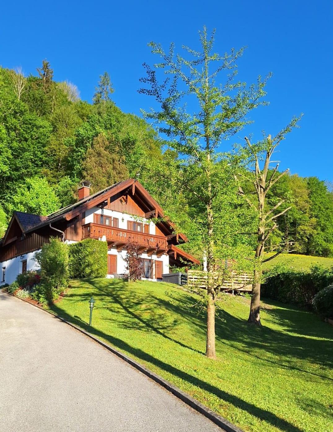 Luxus Alpenparadies Nahe Salzburg Sauna & Whirlpool Adnet Dış mekan fotoğraf
